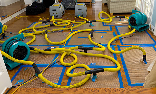Professional Basement Flood Cleanup technician working in Monroeville, OH